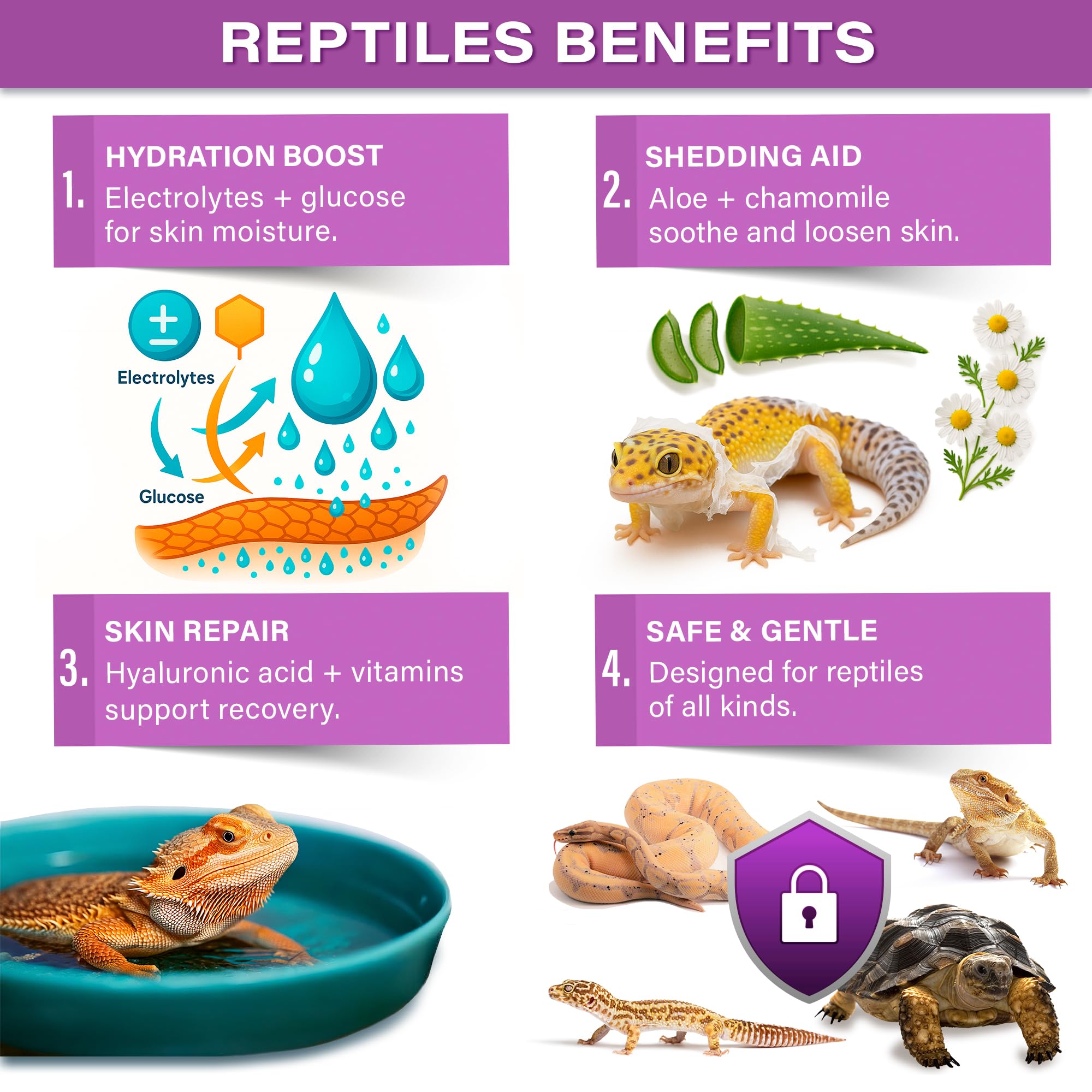 Reptil en un baño con Gargeer ReptiShed, hidratación suave y confort.