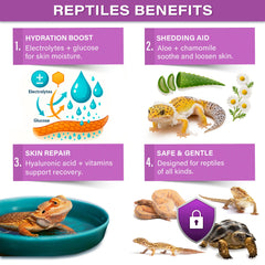Reptil en un baño con Gargeer ReptiShed, hidratación suave y confort.