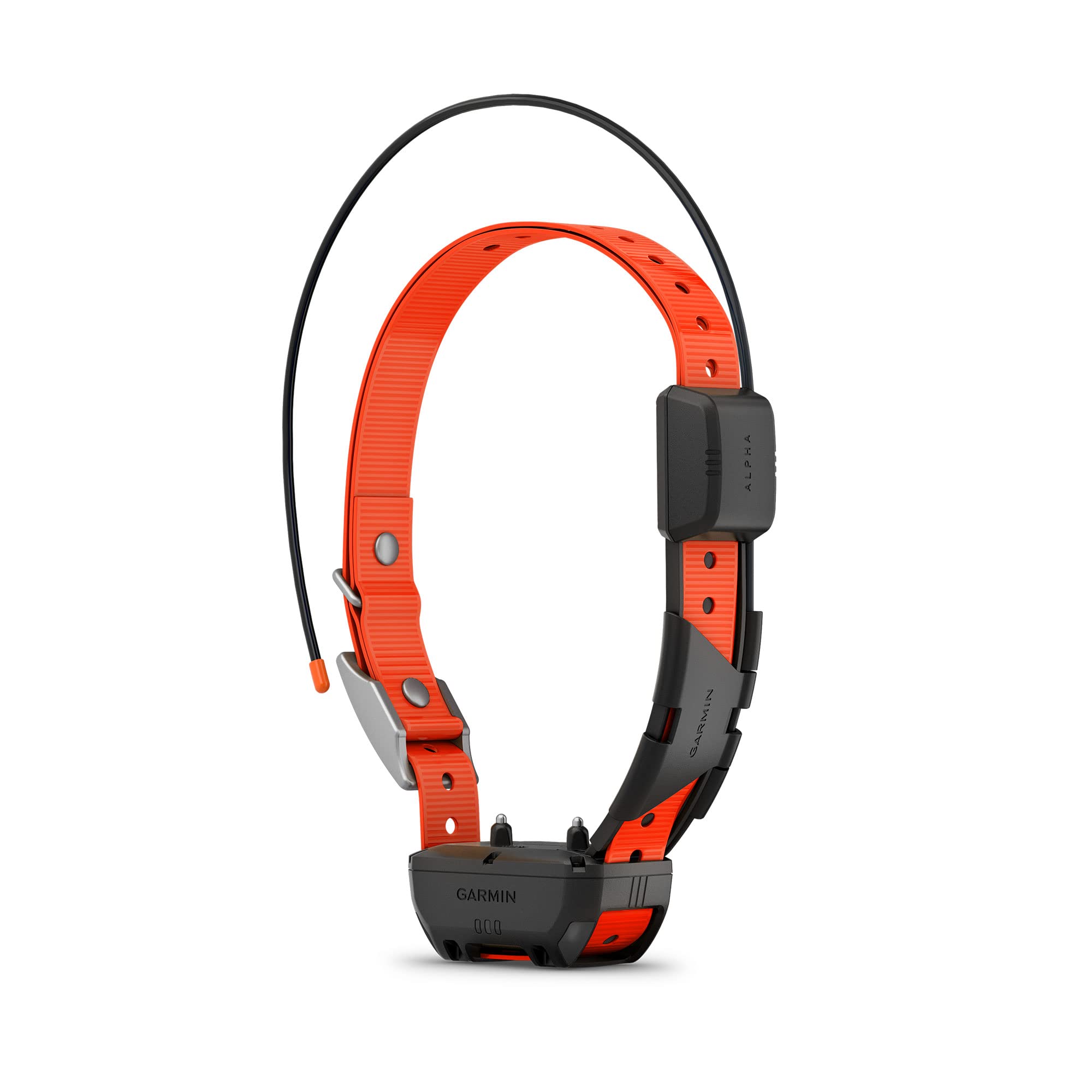 Garmin Alpha TT 25 collar GPS en acción facilita el seguimiento en terreno.
