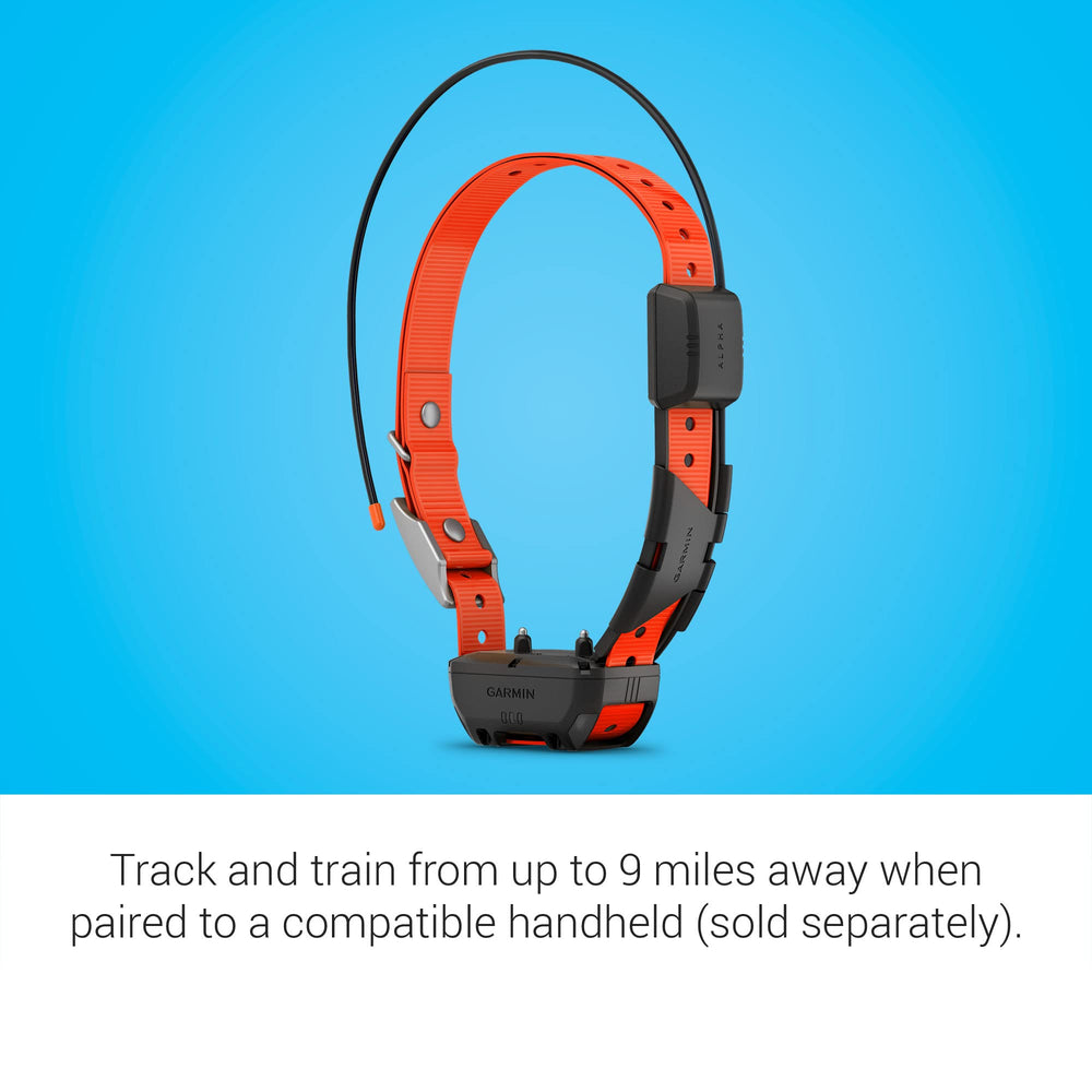 Garmin Alpha TT 25 permite entrenamiento con 18 niveles de estimulación.