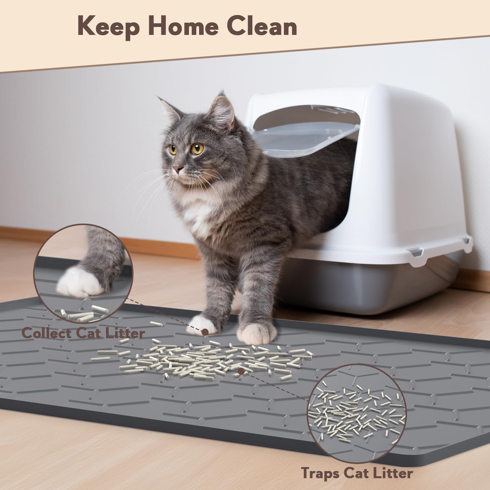 Garoopion primer-plano gato caminando sobre alfombra suave para pies cómodos