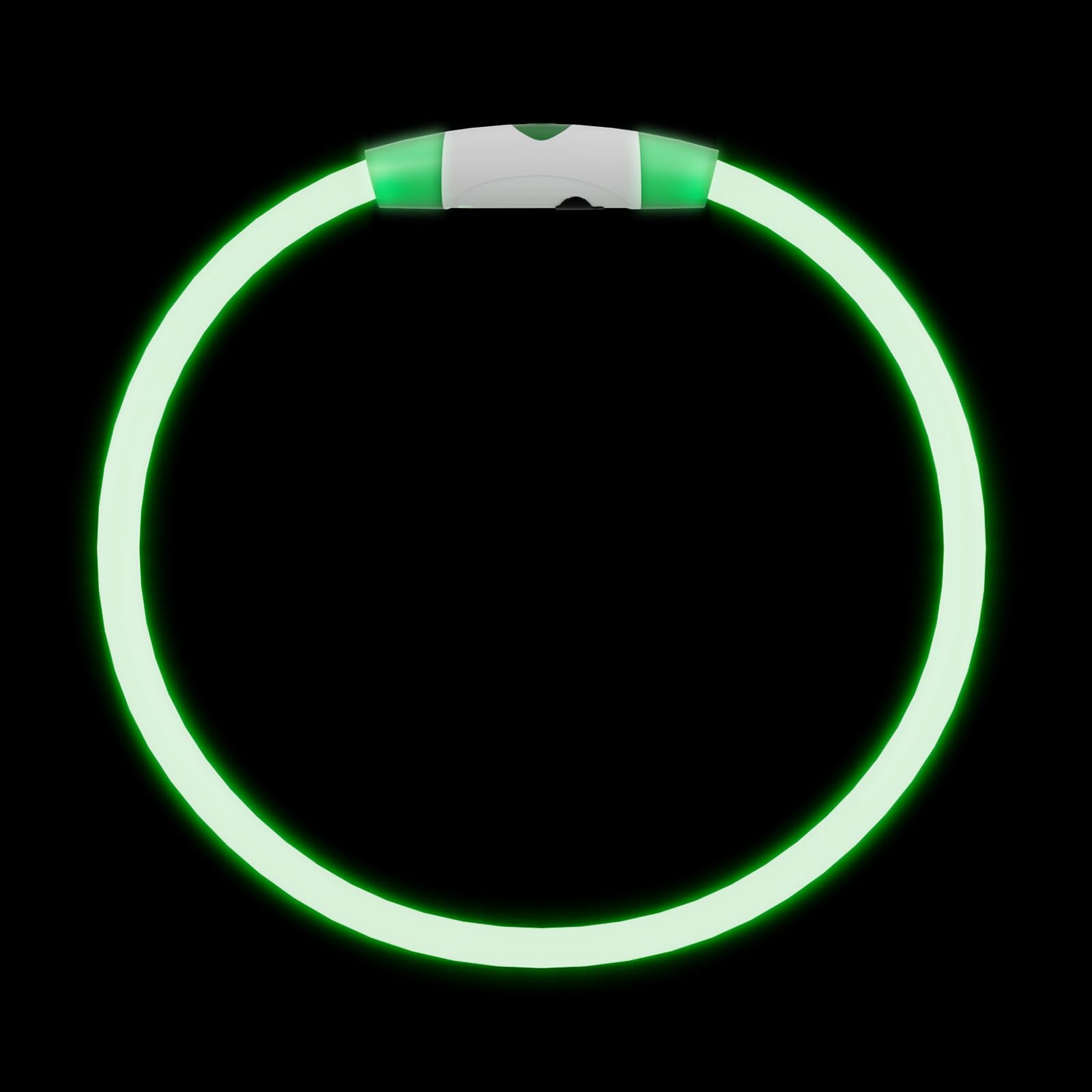 PAQUETE GASRONS de 2 collares LED, ideal para dos mascotas