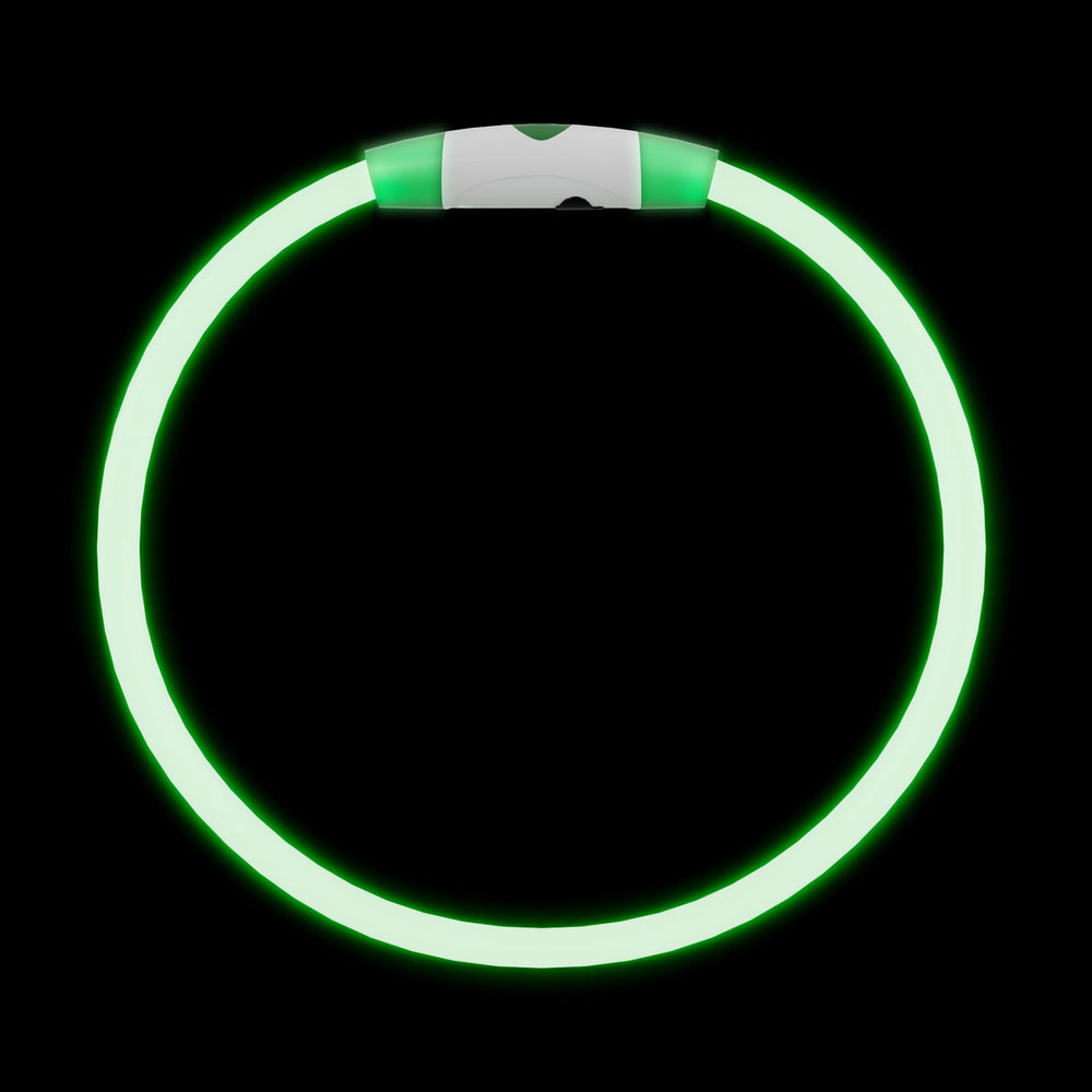 PAQUETE GASRONS de 2 collares LED, ideal para dos mascotas