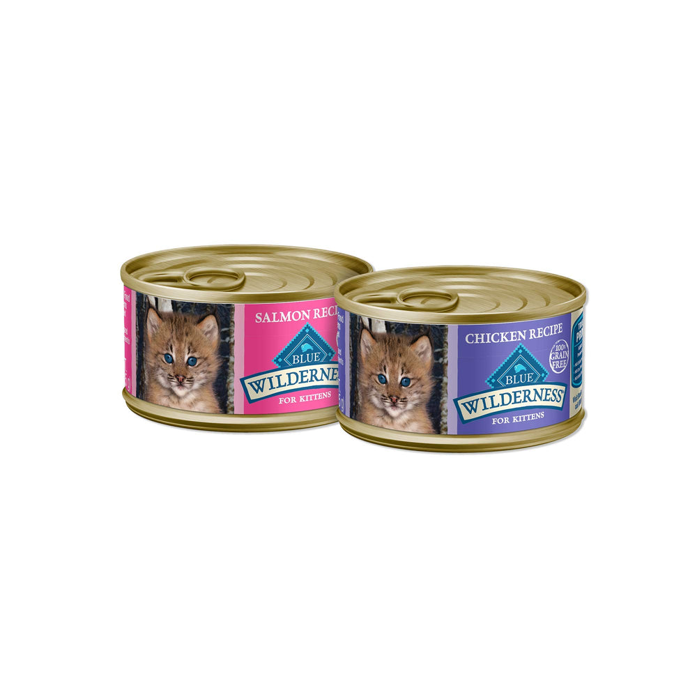 Gatito comiendo Blue Buffalo Wilderness, experiencia sabrosa y nutritiva.