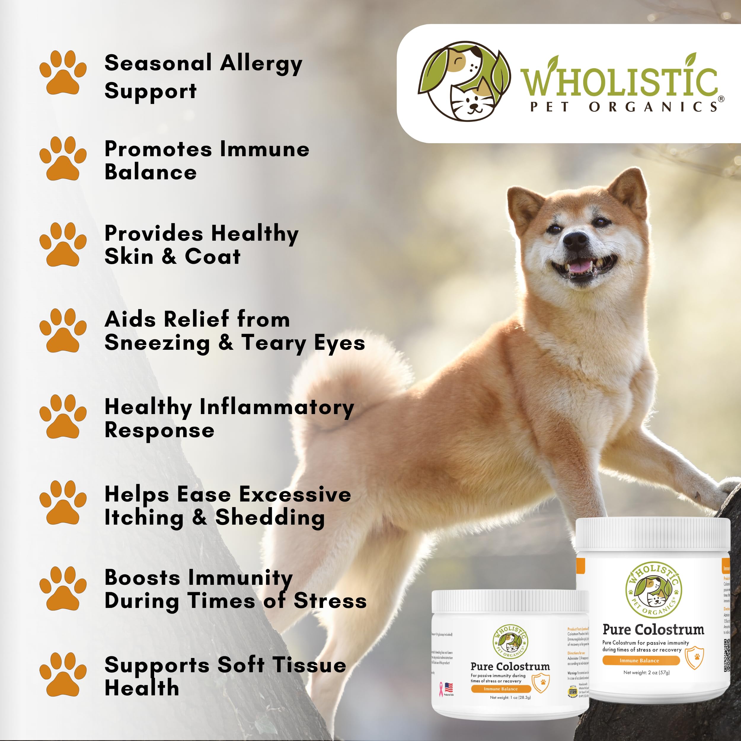 Gato disfruta Colostrum de Wholistic en su plato para piel y pelaje saludables