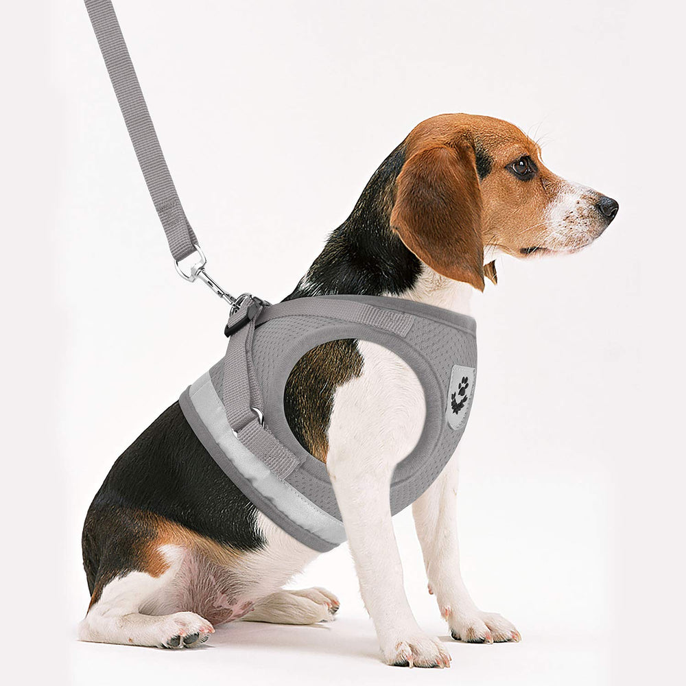 Arnés GAUTERF para cachorro con diseño tipo chaleco y tiras reflectantes para mayor seguridad.