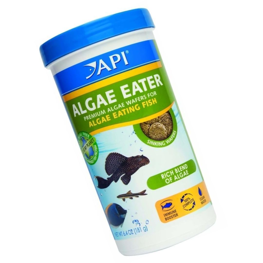 Detalle de espirulina en GBARAN API Comedor de algas para micronutrientes naturales.