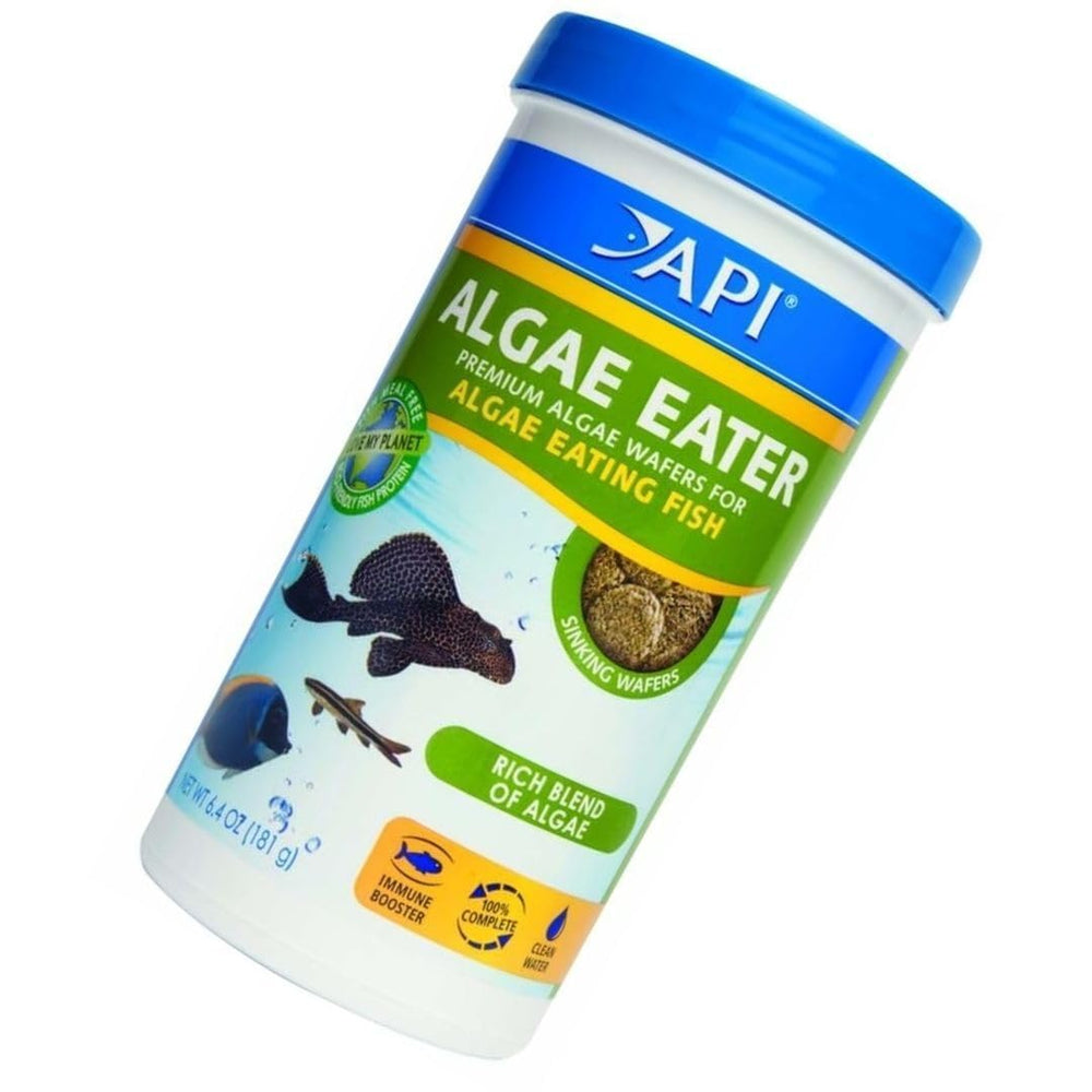 Proteína de guisante en GBARAN API Comedor de algas mejora digestibilidad.