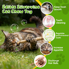 GBSYU bolsa recargable de hierba gatera, aroma natural para curiosos felinos