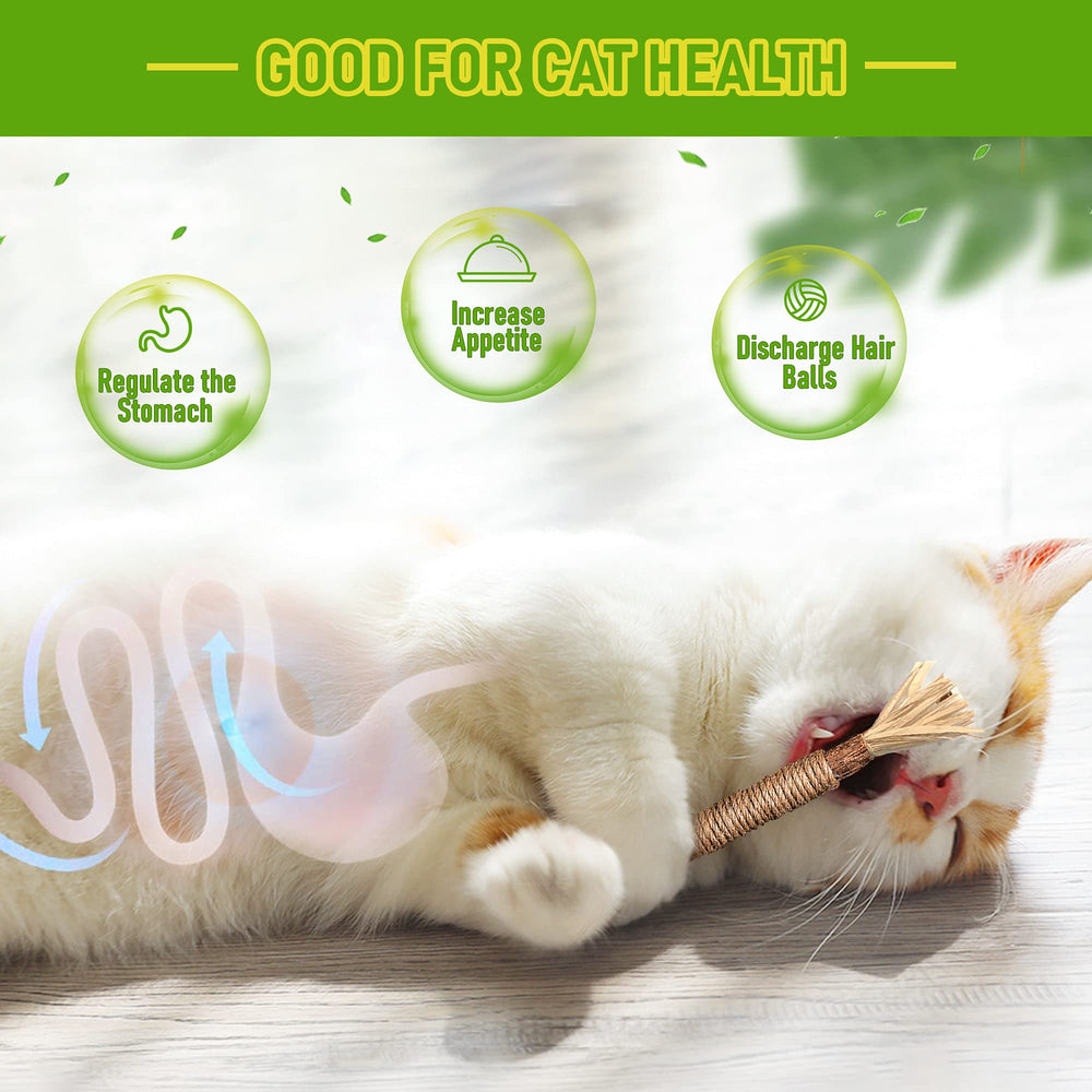 GBSYU dientes de gatitos y limpieza con silvervine, apoyo a la higiene bucal.