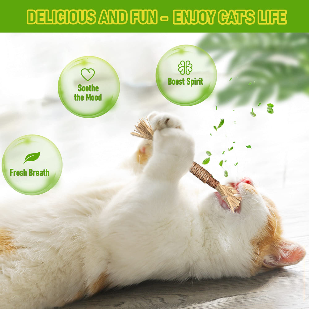 GBSYU juguete para gatos en interiores con silvervine, ideal para juego diario.