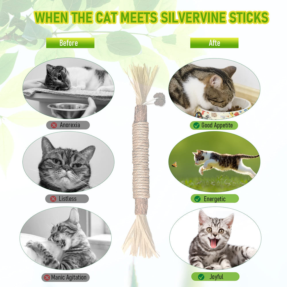 GBSYU juguete con silvervine para gatos, fomenta juego suave.
