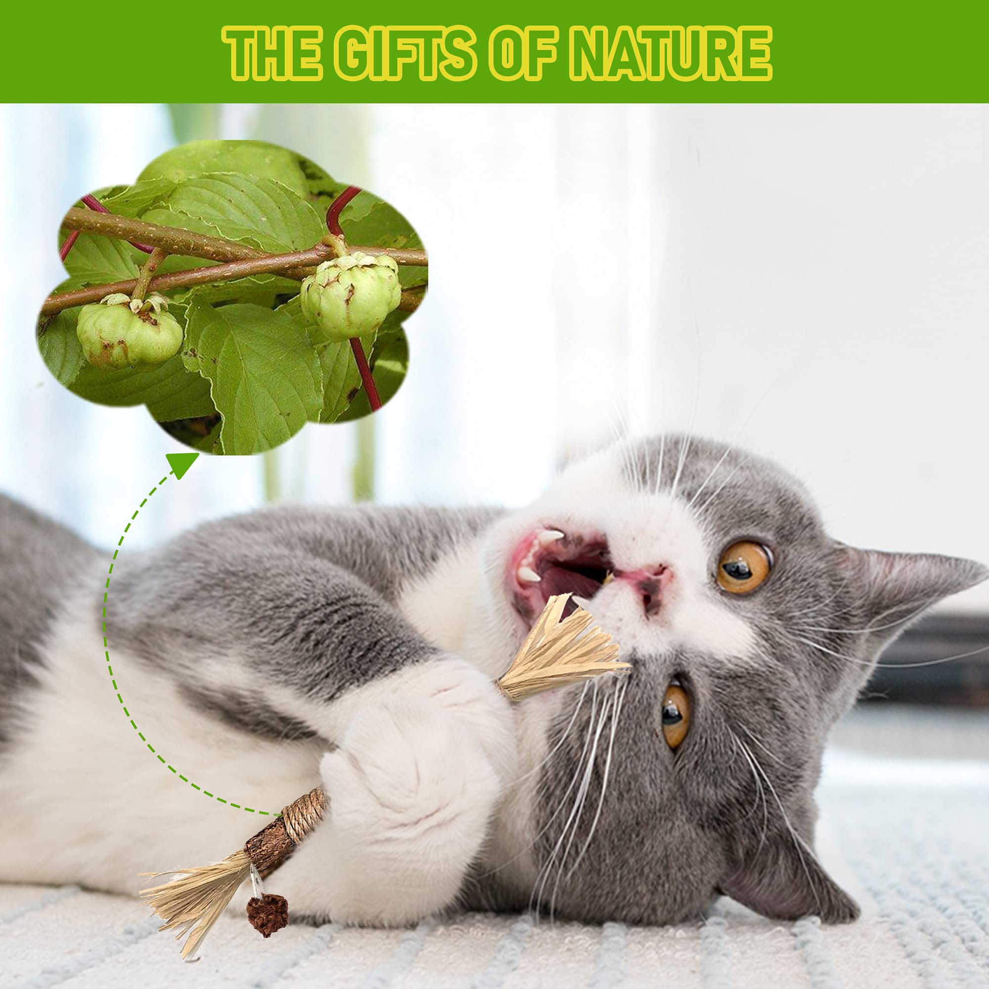 GBSYU palitos de silvervine, producto natural sin aditivos para gatos.