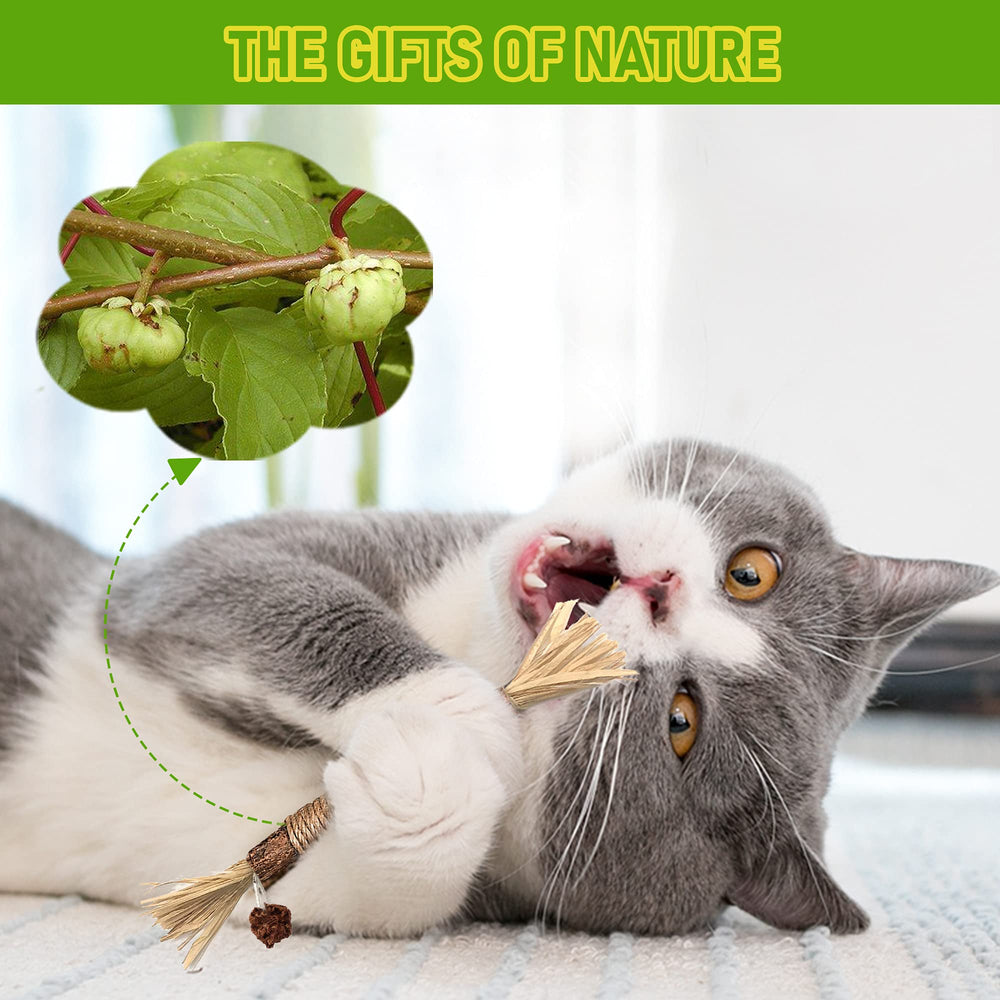 GBSYU palitos de silvervine, producto natural sin aditivos para gatos.