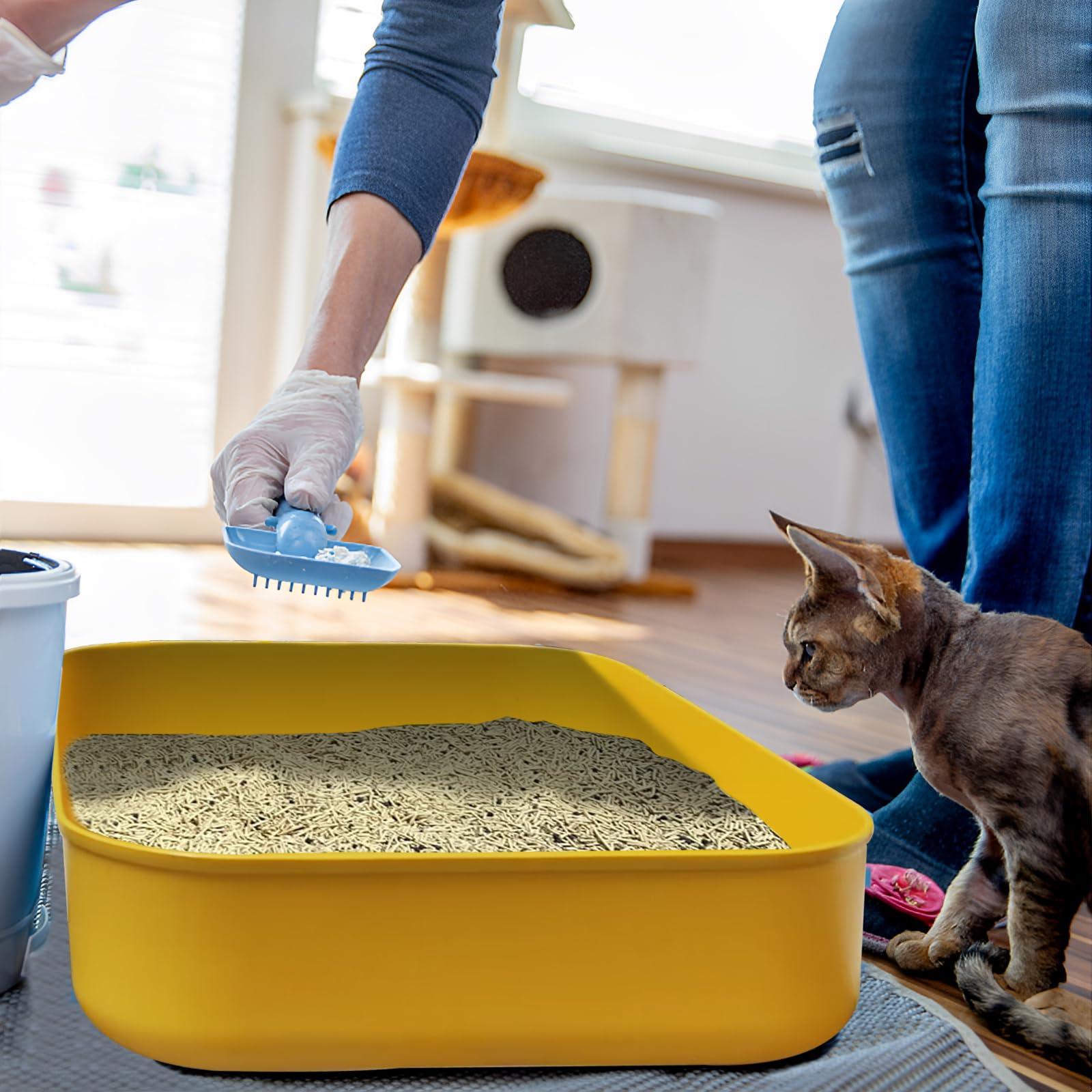 GCVOPTON caja de arena para gatitos blanco, limpieza sencilla