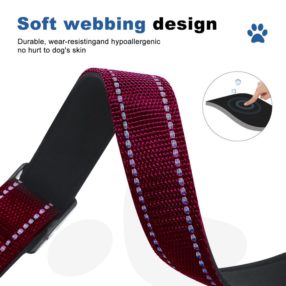 GDLKPS collar de colores brillantes para distinguir a tu mascota.