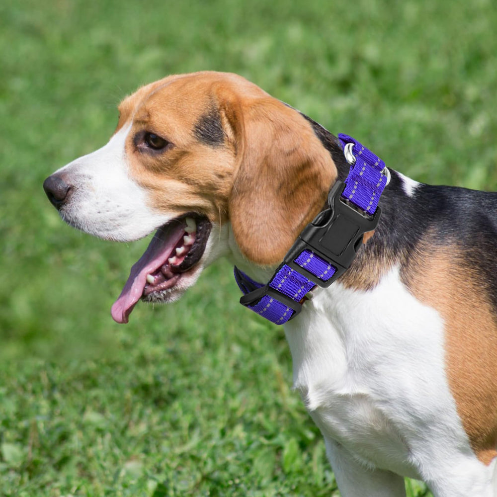 GDLKPS collar nylon acolchado suave para mayor comodidad diaria.