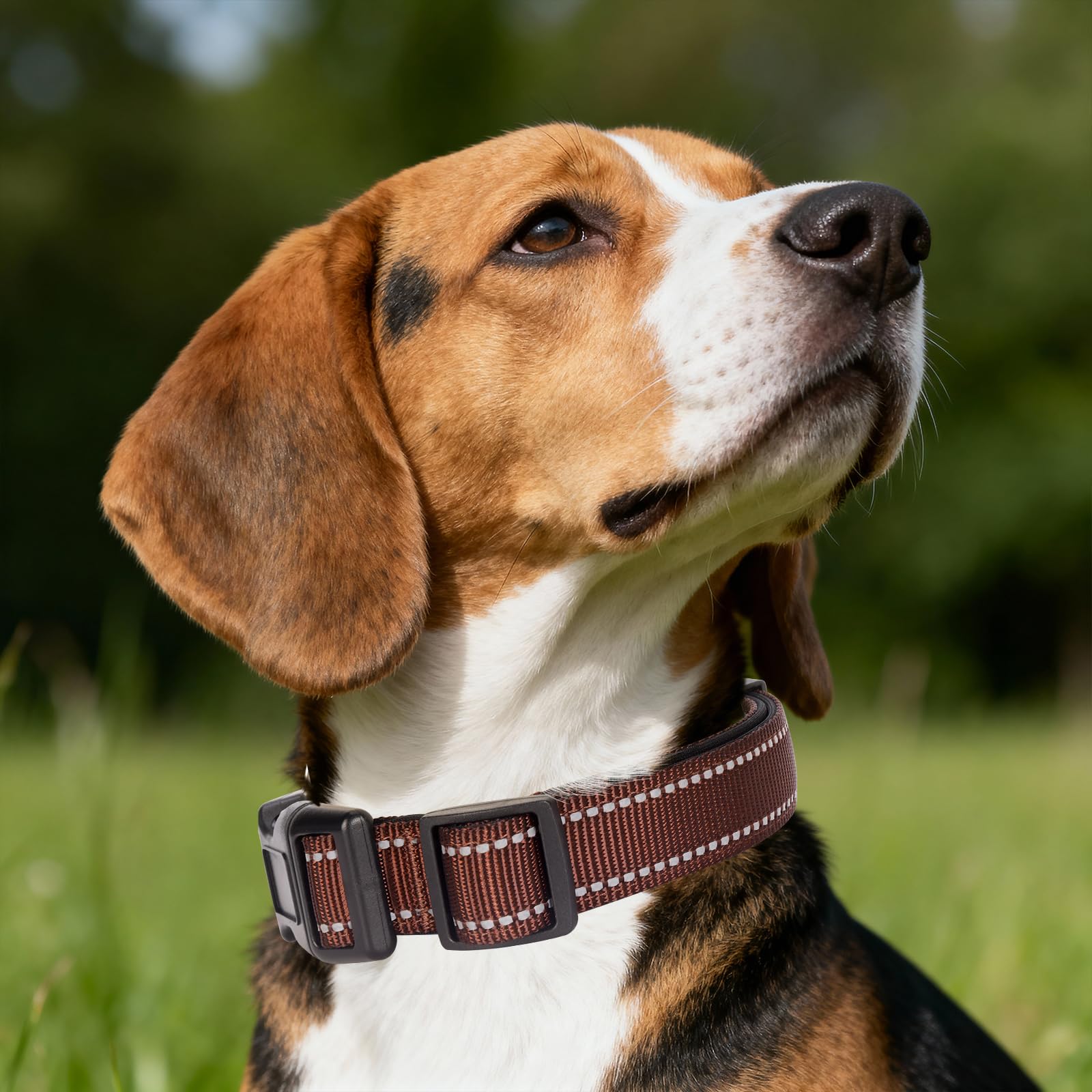 Collar nylon acolchado GDLKPS ideal para comodidad diaria.