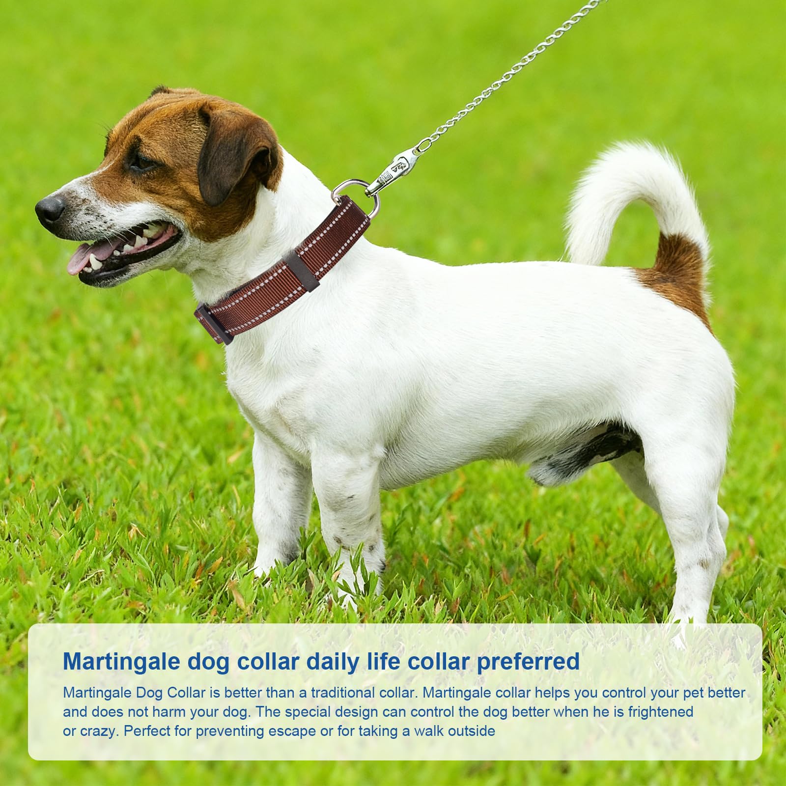 Collar reflectante de colores brillantes para actividades al aire libre con GDLKPS.
