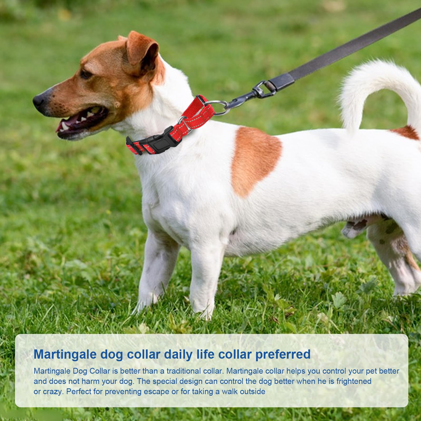 GDLKPS collar suave para paseos cómodos al aire libre.