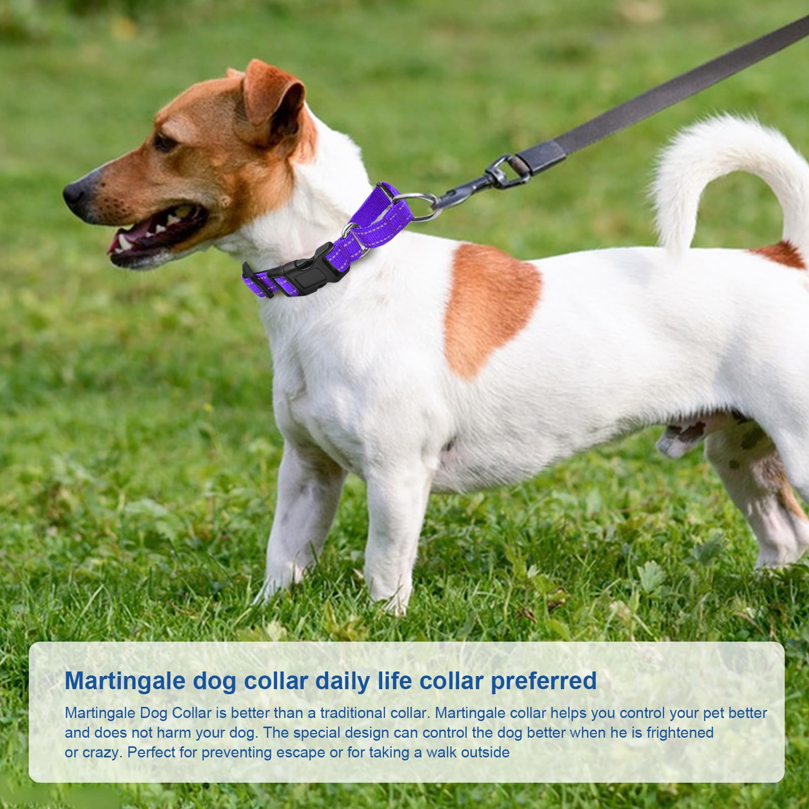 GDLKPS collar ajustable cómodo para perros pequeños y grandes.