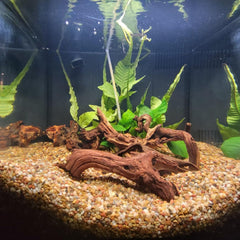 GDMYST Mopani para acuario y terrario, decoración realista y duradera
