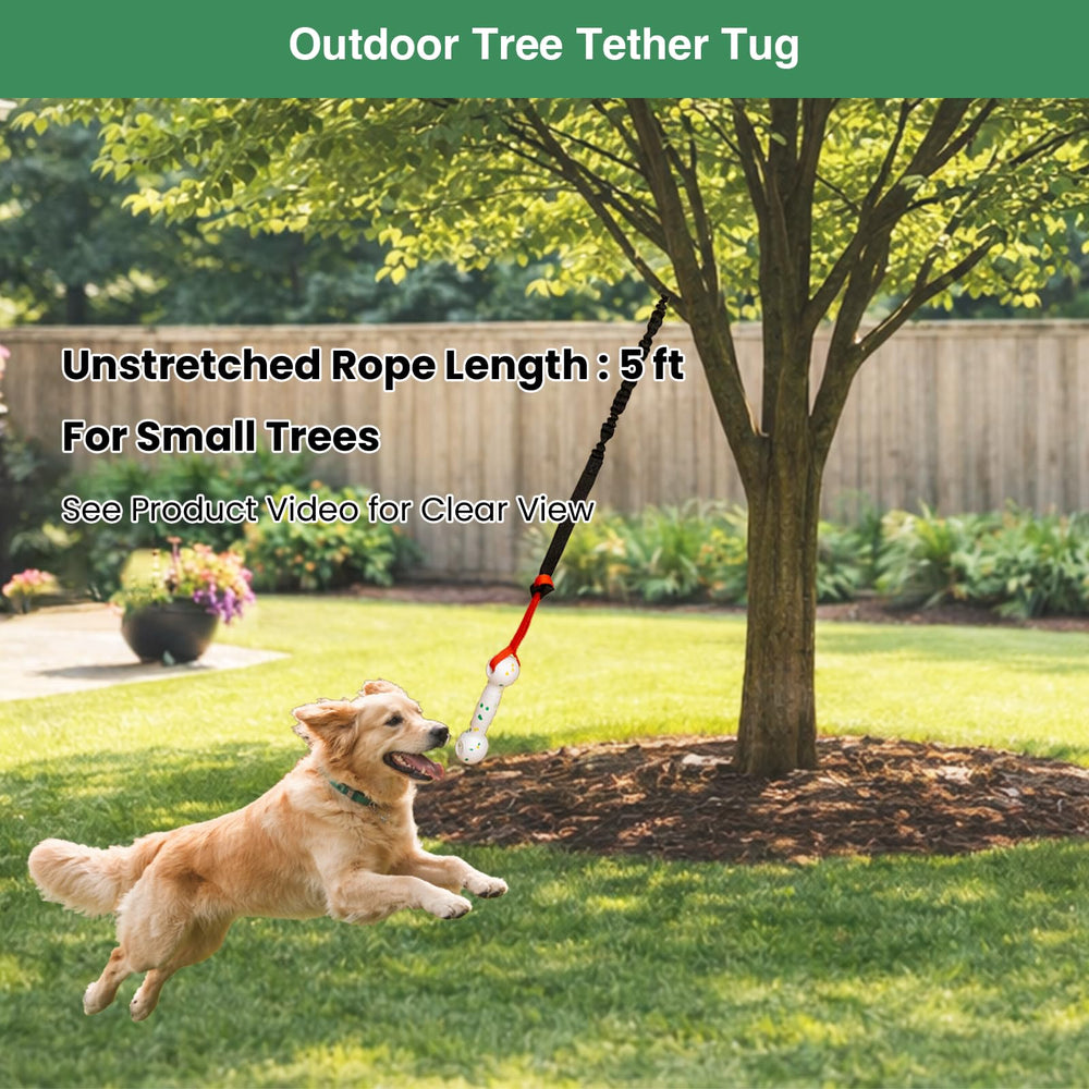 GDuolaPaws hueso E-TPU ligero, perfecto para juego de fetch en agua.