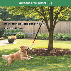 GDuolaPaws hueso E-TPU ligero, perfecto para juego de fetch en agua.