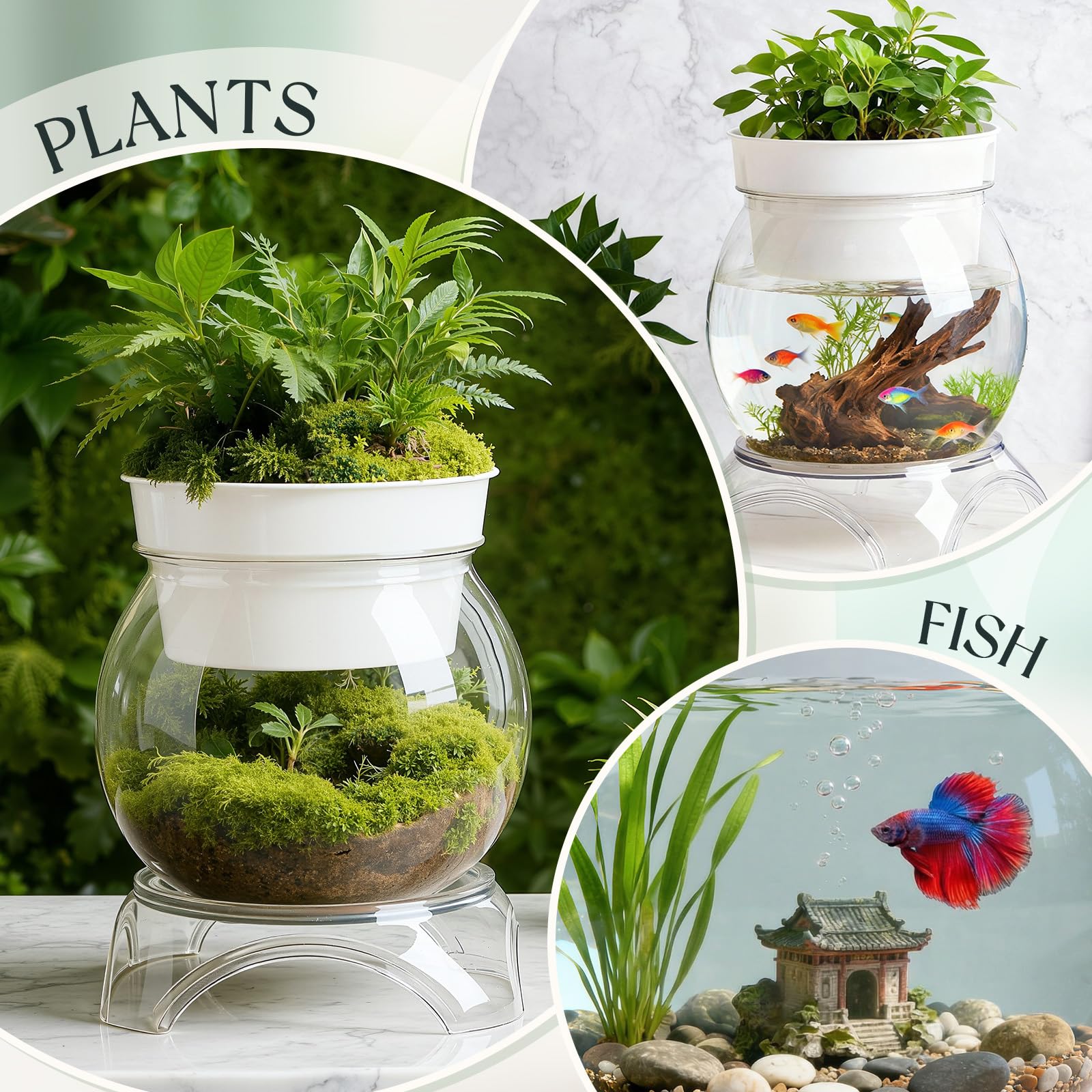 Geelin acuaponia con plantas que filtran el agua naturalmente
