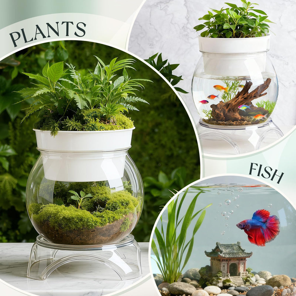 Geelin acuaponia con plantas que filtran el agua naturalmente