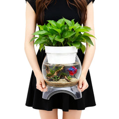 Geelin tanque betta con base elevada, fácil manejo para cambios de agua