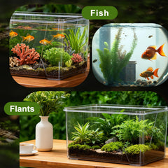 Geelin terrario con pecera cuadrada, posibilidad de jardines en casa