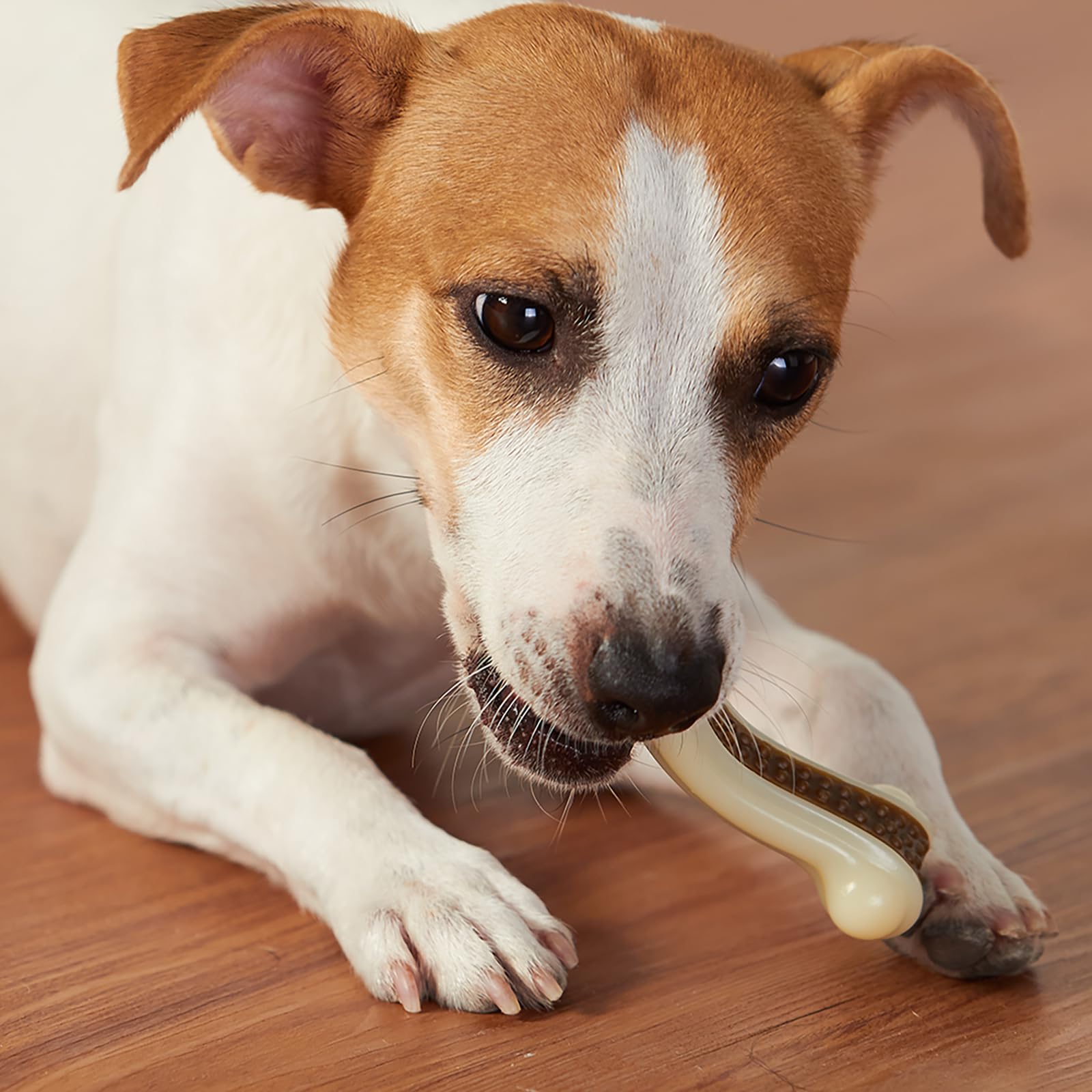 Geeyteek Hueso con sabor ternera para denticion y entretenimiento