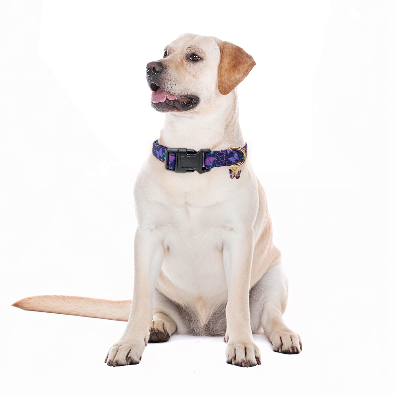 Colgante delicado y patrón colorido, perfecto para paseos y eventos con tu mascota Gelwoo.