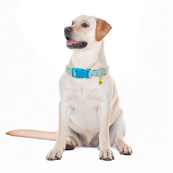 Gelwoo collar suave y ligero, materiales cómodos para uso diario