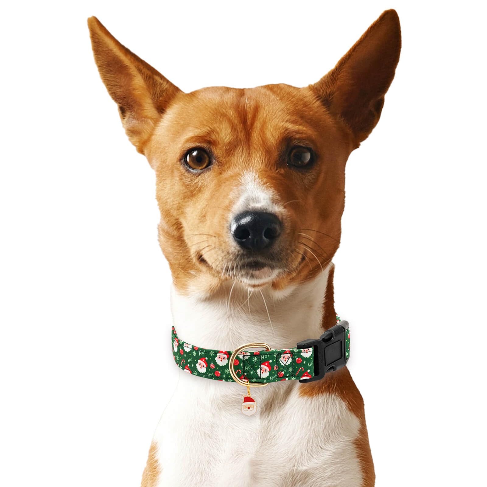 Gelwoo collar perro paseo cómodo para aventuras diarias