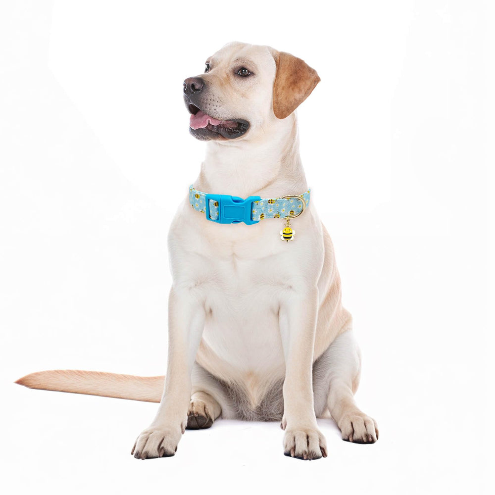 Collar Gelwoo de talla mediana, práctico para uso diario.