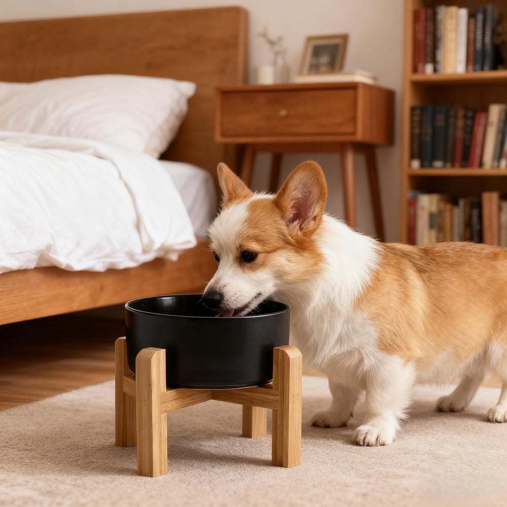 Ideal para perros y gatos pequenos a medianos en casa