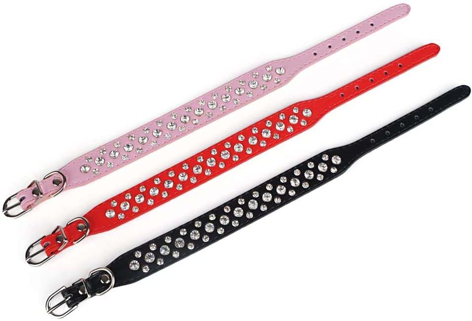 Collar Generic puesto en cuello de perro con ajuste de cinco agujeros para perro.