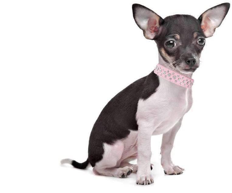 Detalle de la correa PU cuero sintético del collar Generic para mascotas.