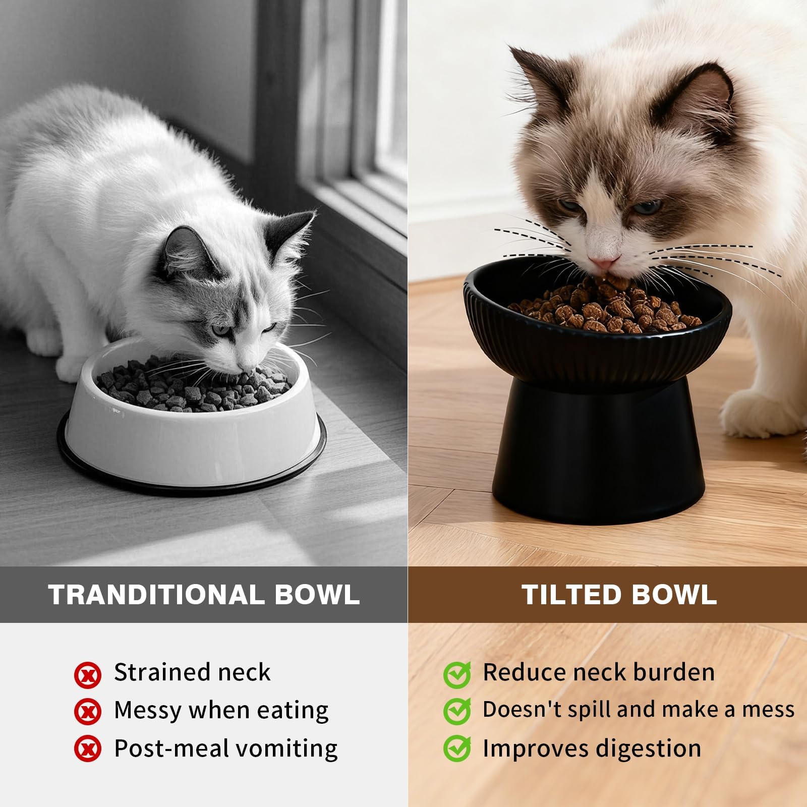 Generic dos tazones prácticos para gatos y cachorros en casa.