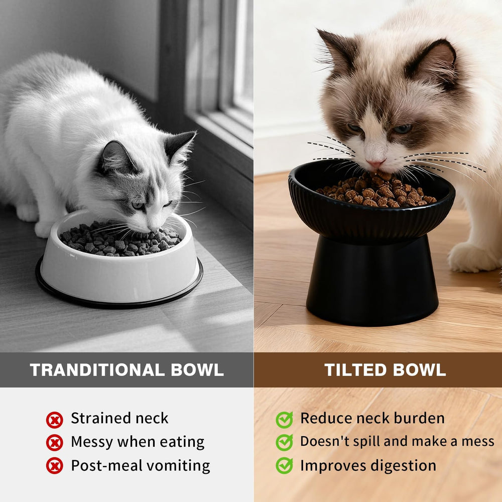 Generic dos tazones prácticos para gatos y cachorros en casa.