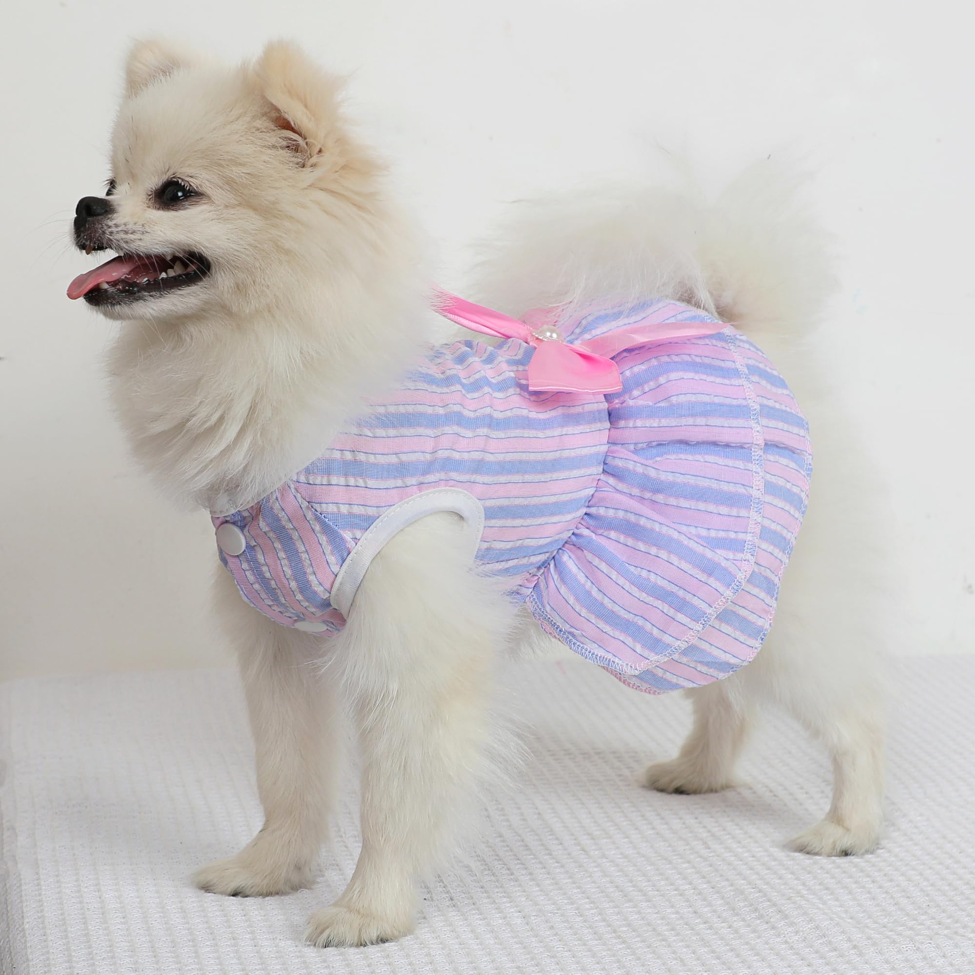 Generic guía de tallas para perros pequeños, evita sorpresas.