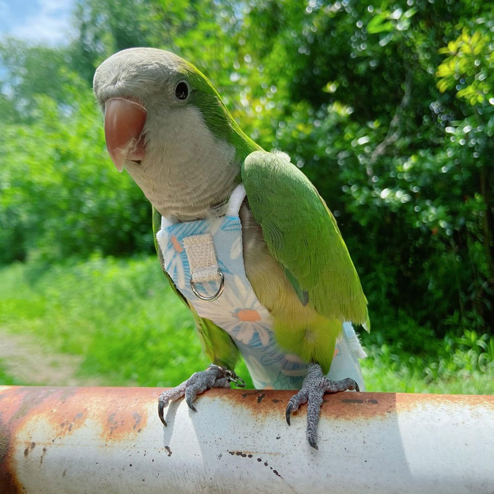 Generic pañal loro exterior lavable, protección fácil de limpiar ante salpicaduras.