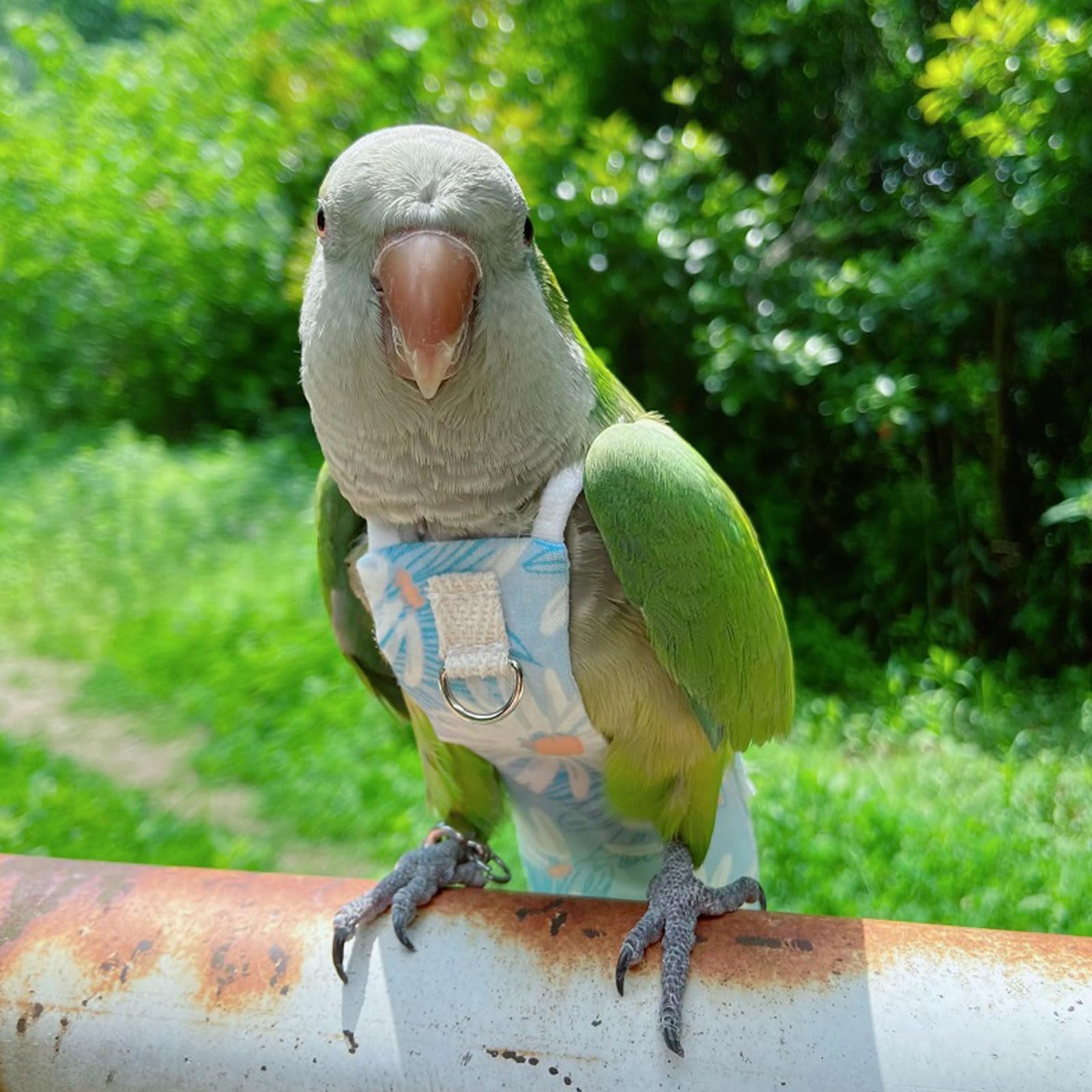 Generic pañal loro tallas múltiples, se adapta a distintas dimensiones.