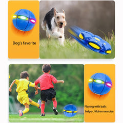 Pelota rebotadora mágica de Generic ideal para juego rápido