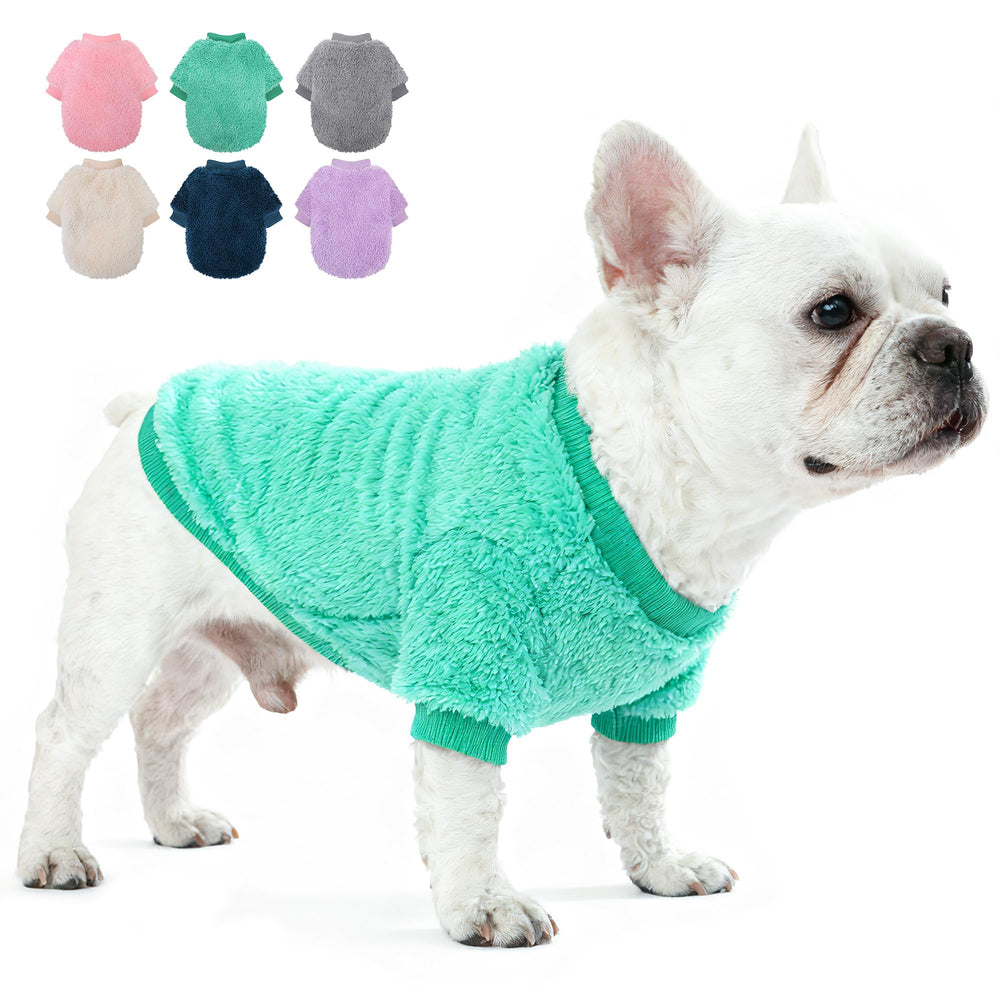 Sudadera Generic para perro pequeño teacup turquesa XL, ideal para paseos fríos.