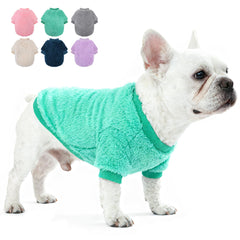 Sudadera Generic para perro pequeño teacup turquesa XL, ideal para paseos fríos.