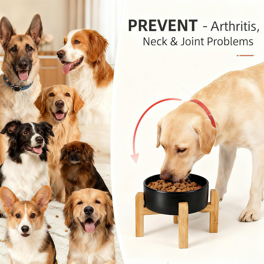 Generic tazon ceramico elevado de 6 pulgadas para mascotas pequenas y medianas