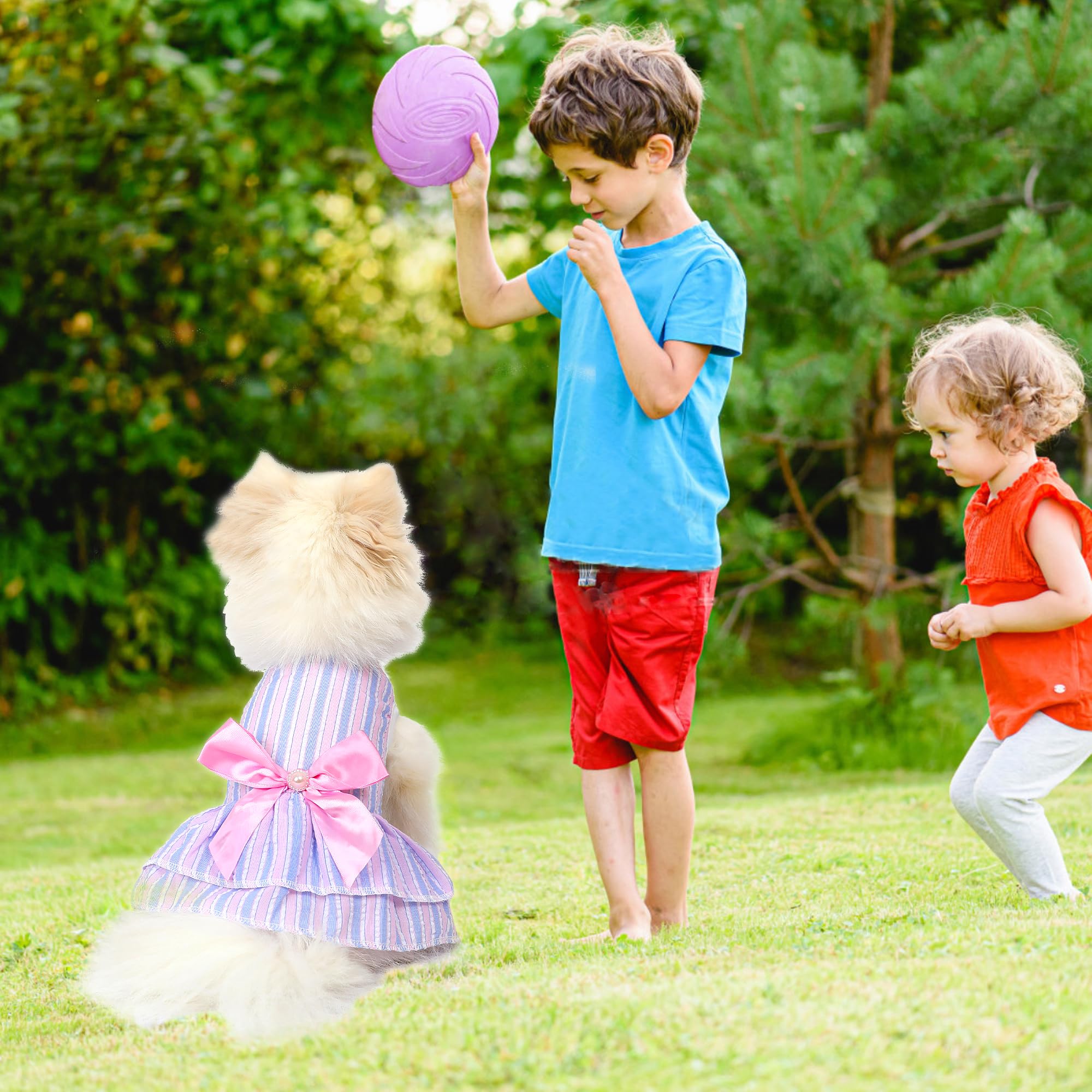 Generic vestido morado con lazo para perro pequeño, ideal para eventos.